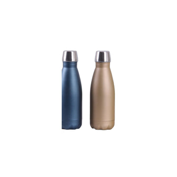 Insulated Stainless Steel Travel Bottle
